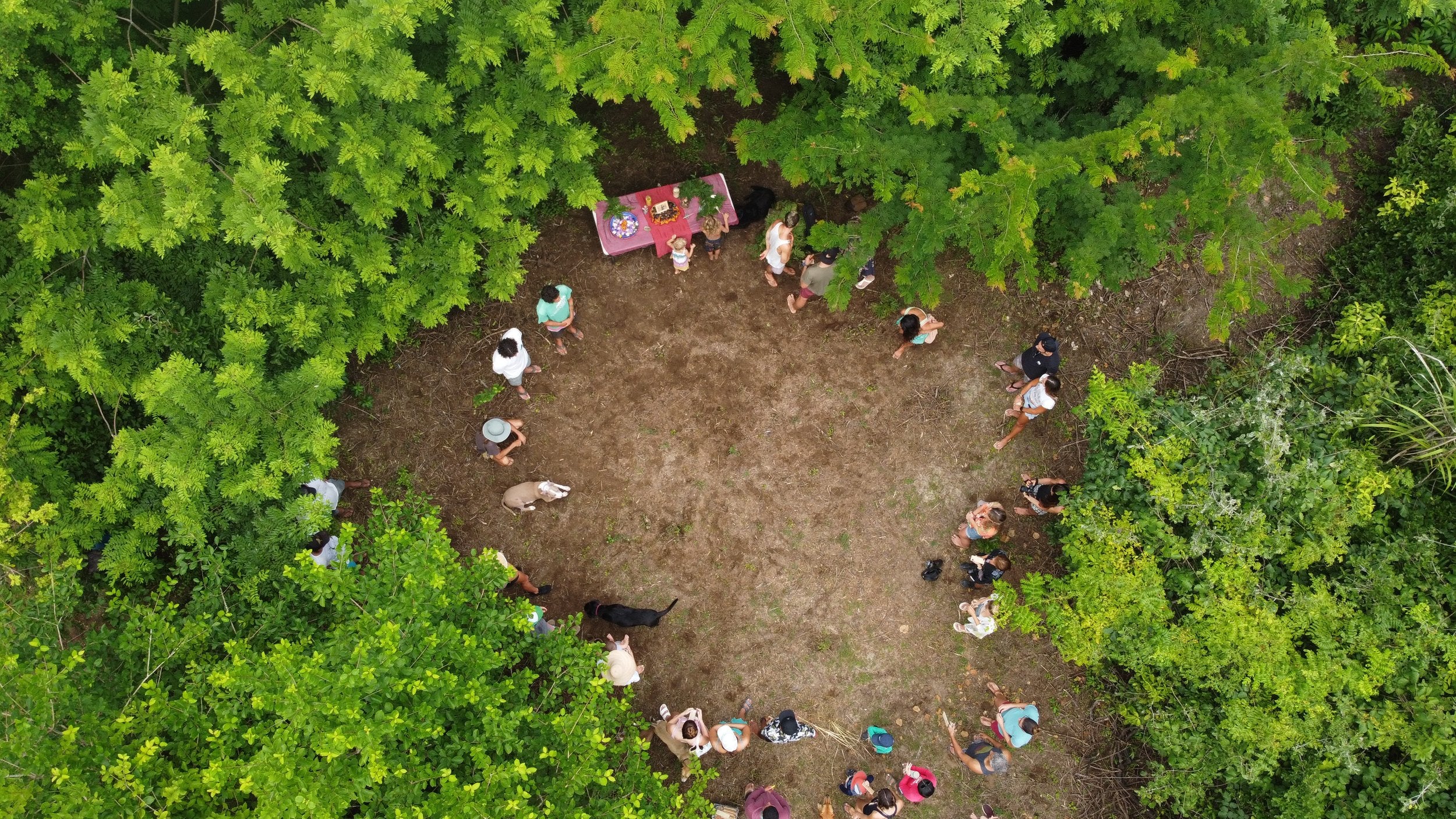 A group of Costas Verdes volunteers gathered around a table in a forest in Costa Rica