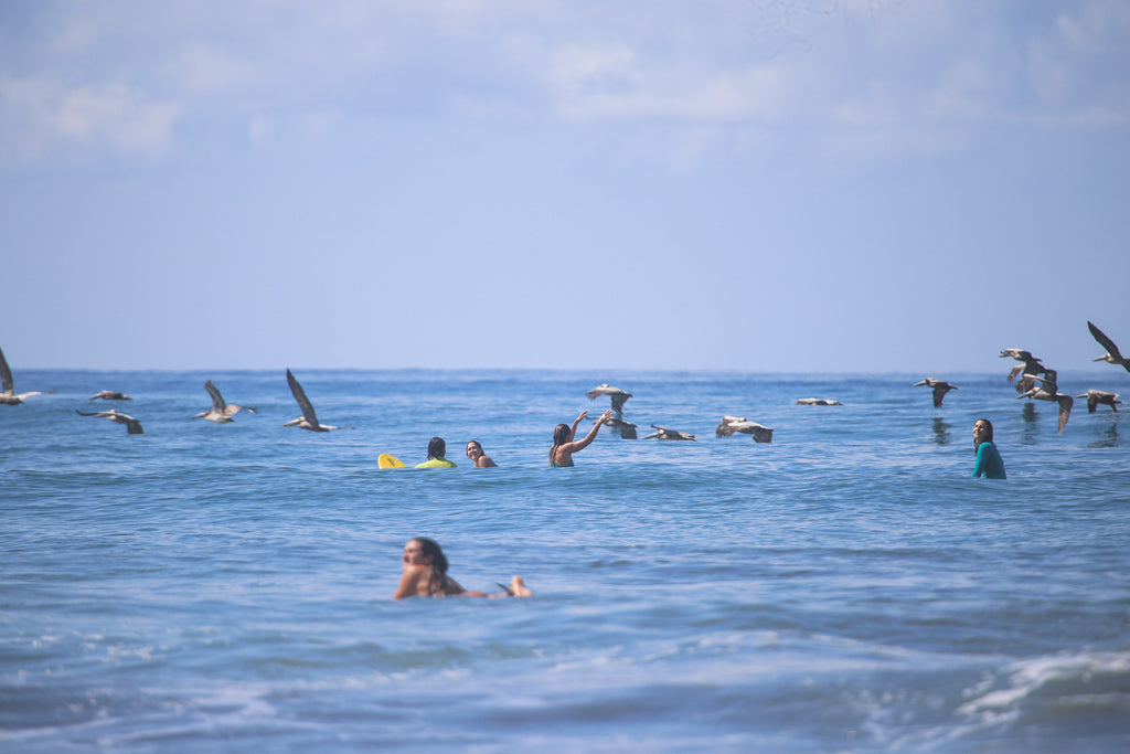 las chicas surfing in Pavones Costa Rica in a Dkoko surf trip