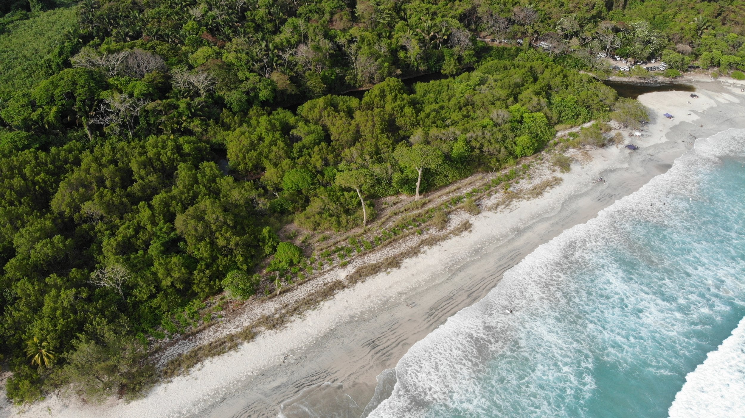 Aerial photo of Guiones Costa Rica with forest next to the ocean.
