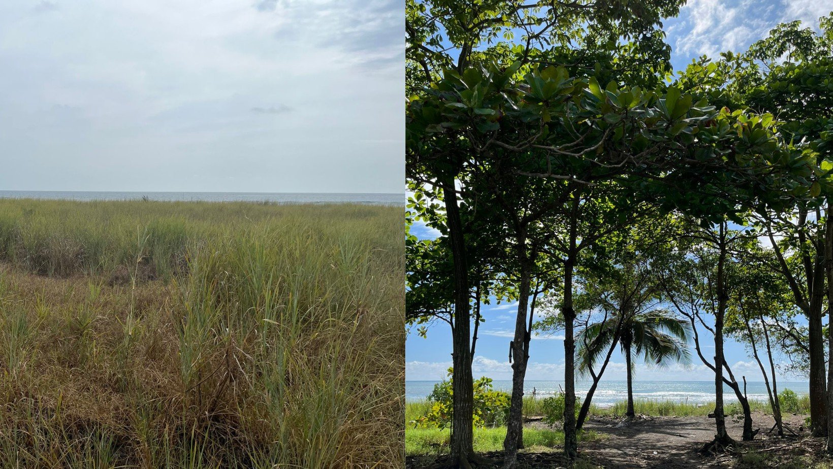 Regenerated beach in Playa Hermosa Jaco Costa Rica by Costas Verdes